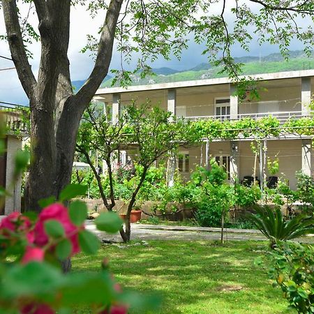 Apartmani Mihovic - Jaz Budva Exterior photo